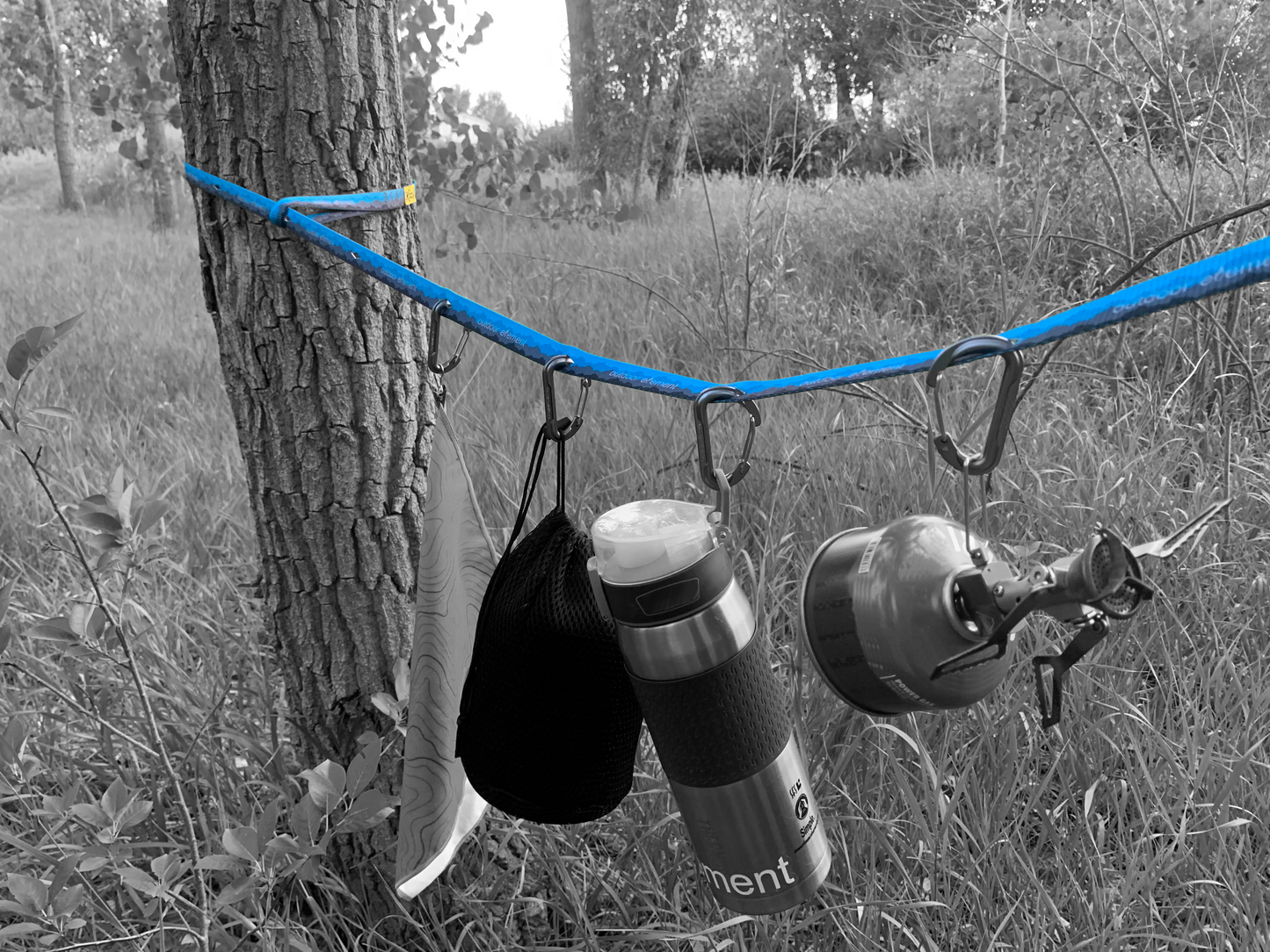 Lifestyle image of charlotte's webbing tied to trees