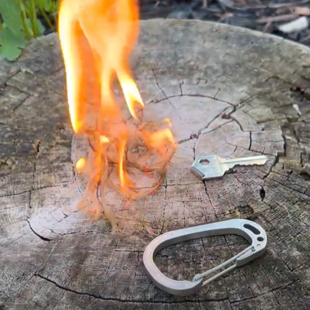 Sparky & Scratch Key Carabiner